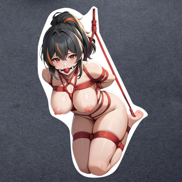 Zenless Zone Zero Zhu Yuan Lewd Vinyl Stickers 1-29 Laptop Decal | UV Proof Water-resistant